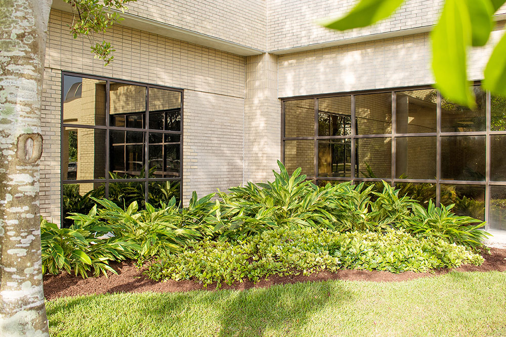 Landry's Landscape Portfolio